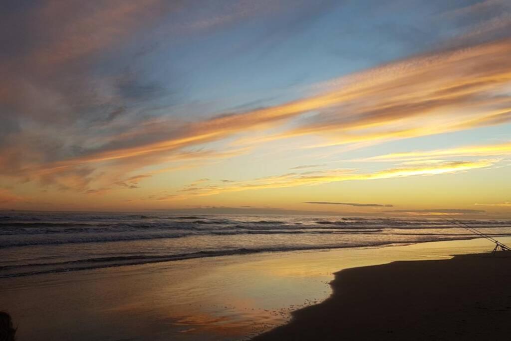 T2 Qaurtier Couchant, Vue Parc, Au Calme, A 5 Min De La Plage La Grande Motte Exteriör bild